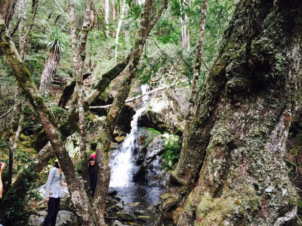 Part of Crater Falls