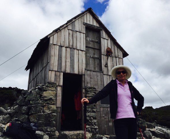 Emergency Shelter The top door & shovel are for when it snows a bit