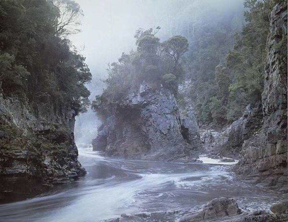 Morning Mist, Rock Island Bend, Franklin River, by Peter Dombrovskis