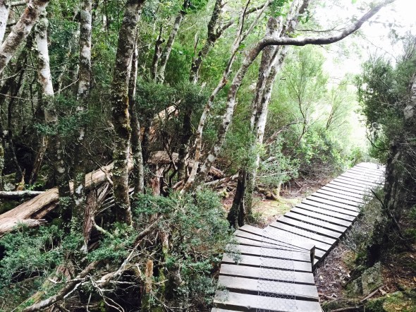 Boardwalks are Great